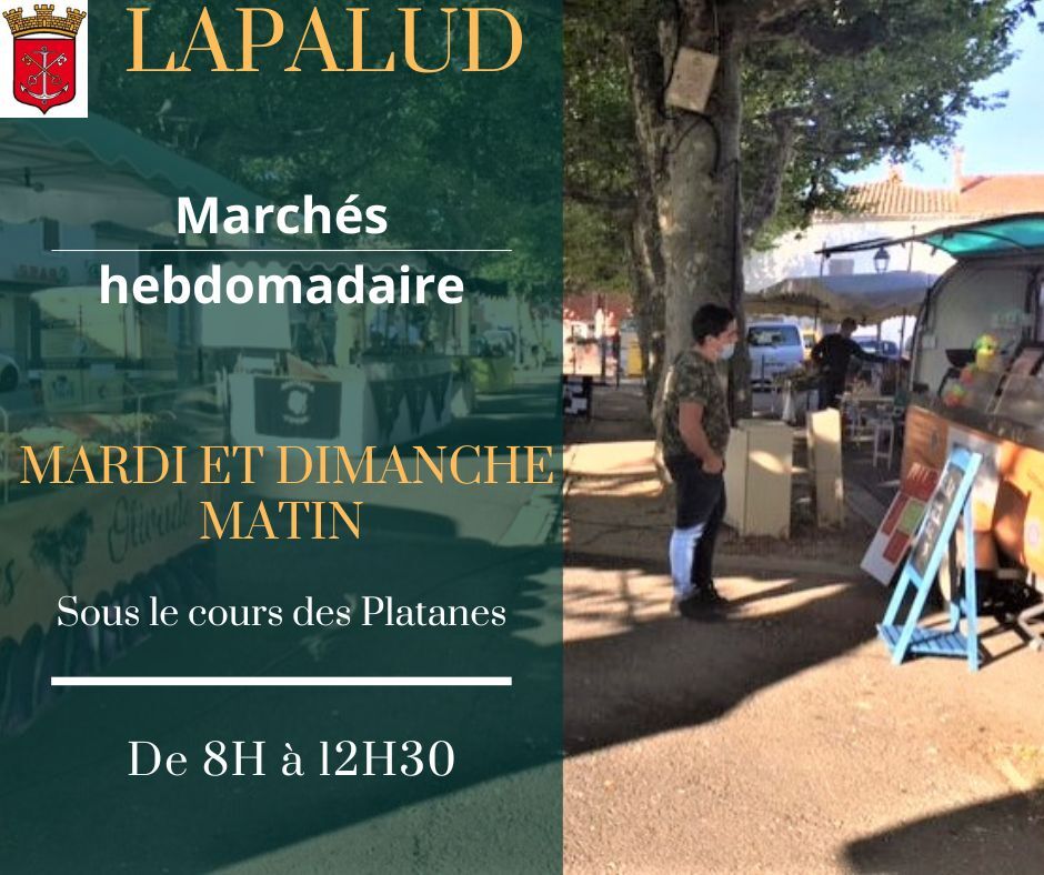 marche lapalud